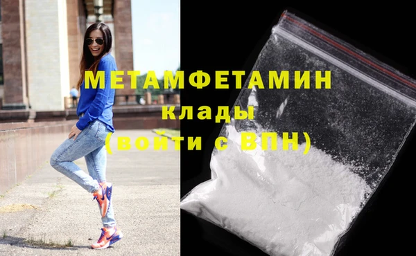 прущие грибы Мегион