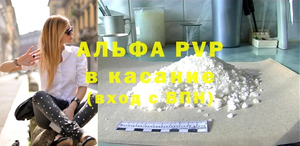 прущие грибы Мегион