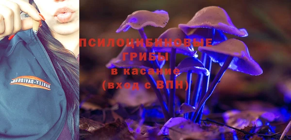 альфа пвп Медвежьегорск