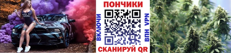 Канабис MAZAR Себеж
